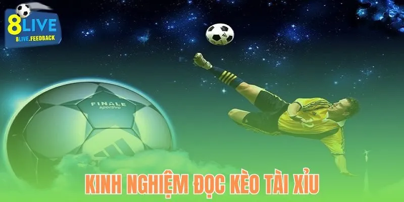 Cách đọc Tài Xỉu sao cho hiệu quả tại 8Live